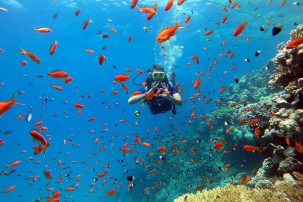 Дайвинг интро остров Тиран