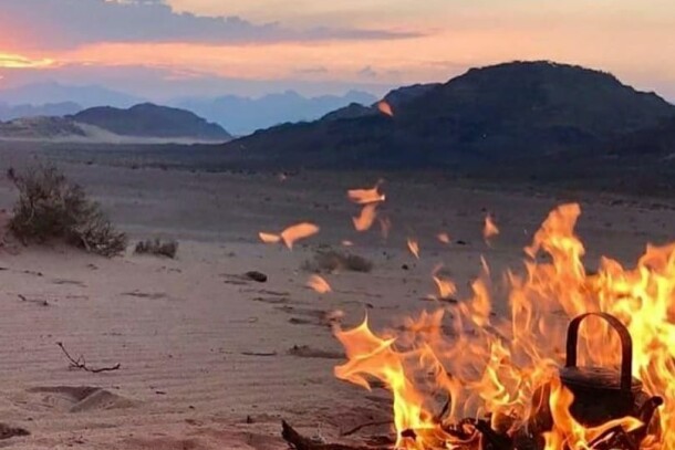 Desert safari (3 in 1)