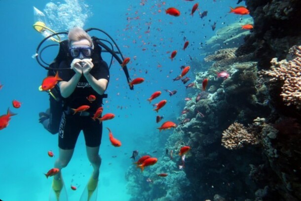 Дайвинг интро в заповеднике Рас Мухаммед